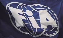 fia flag